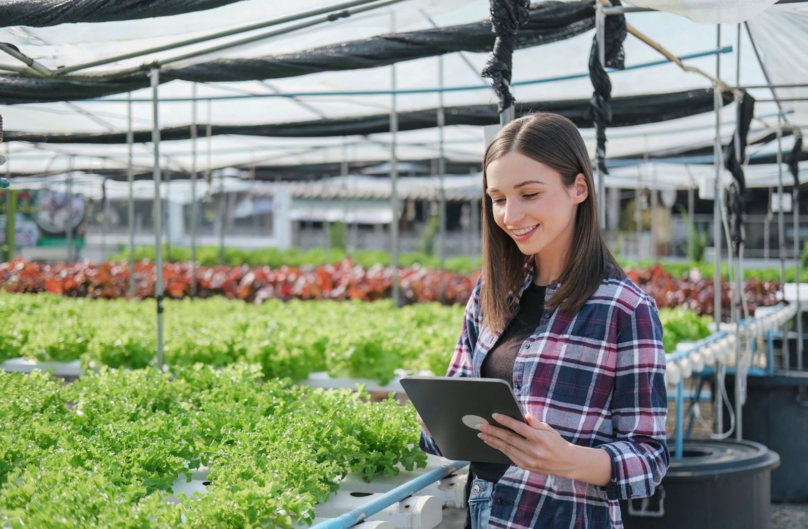 Agroexportación