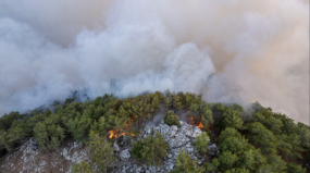 Incendios Forestales