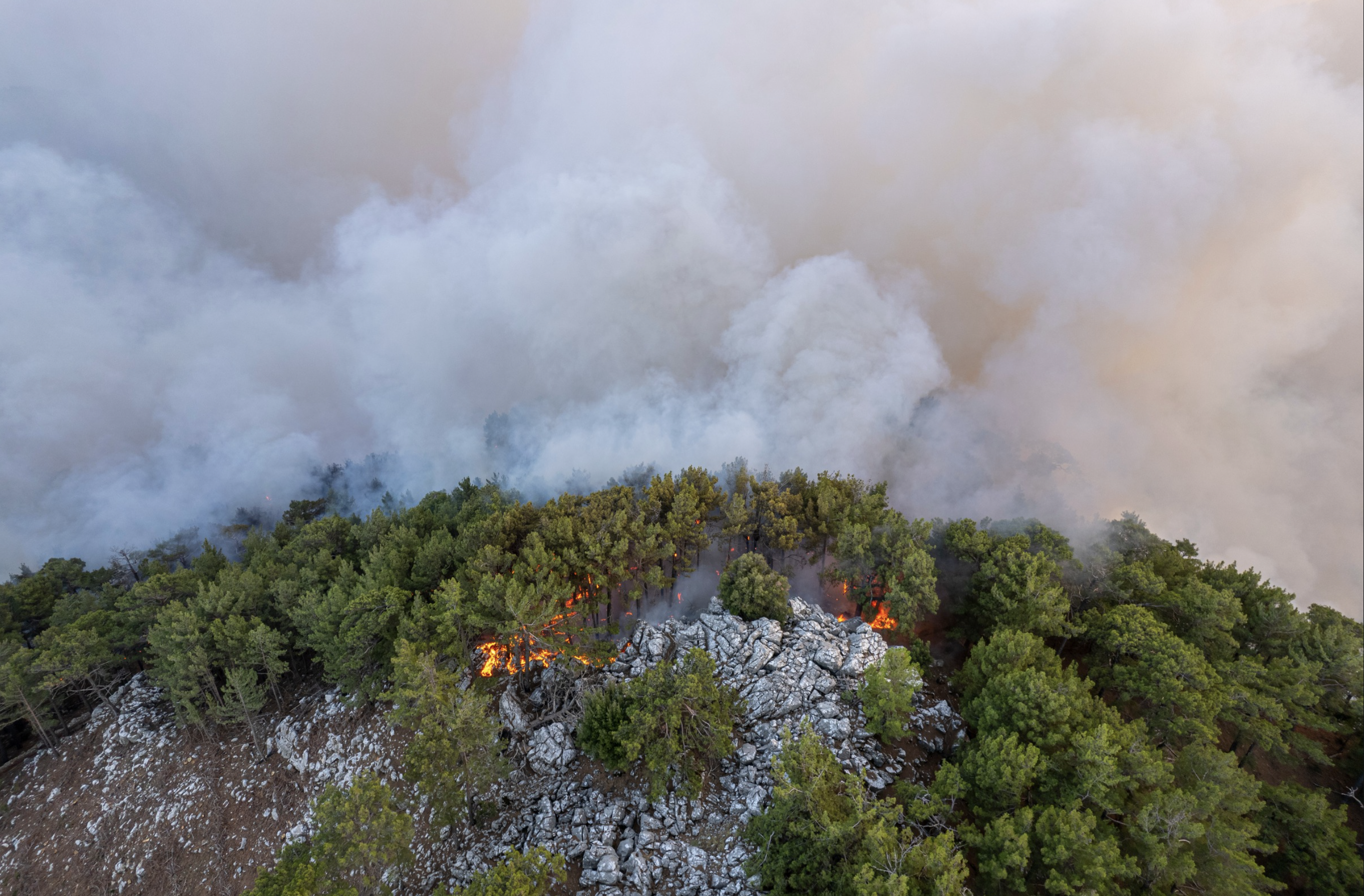 Incendios Forestales